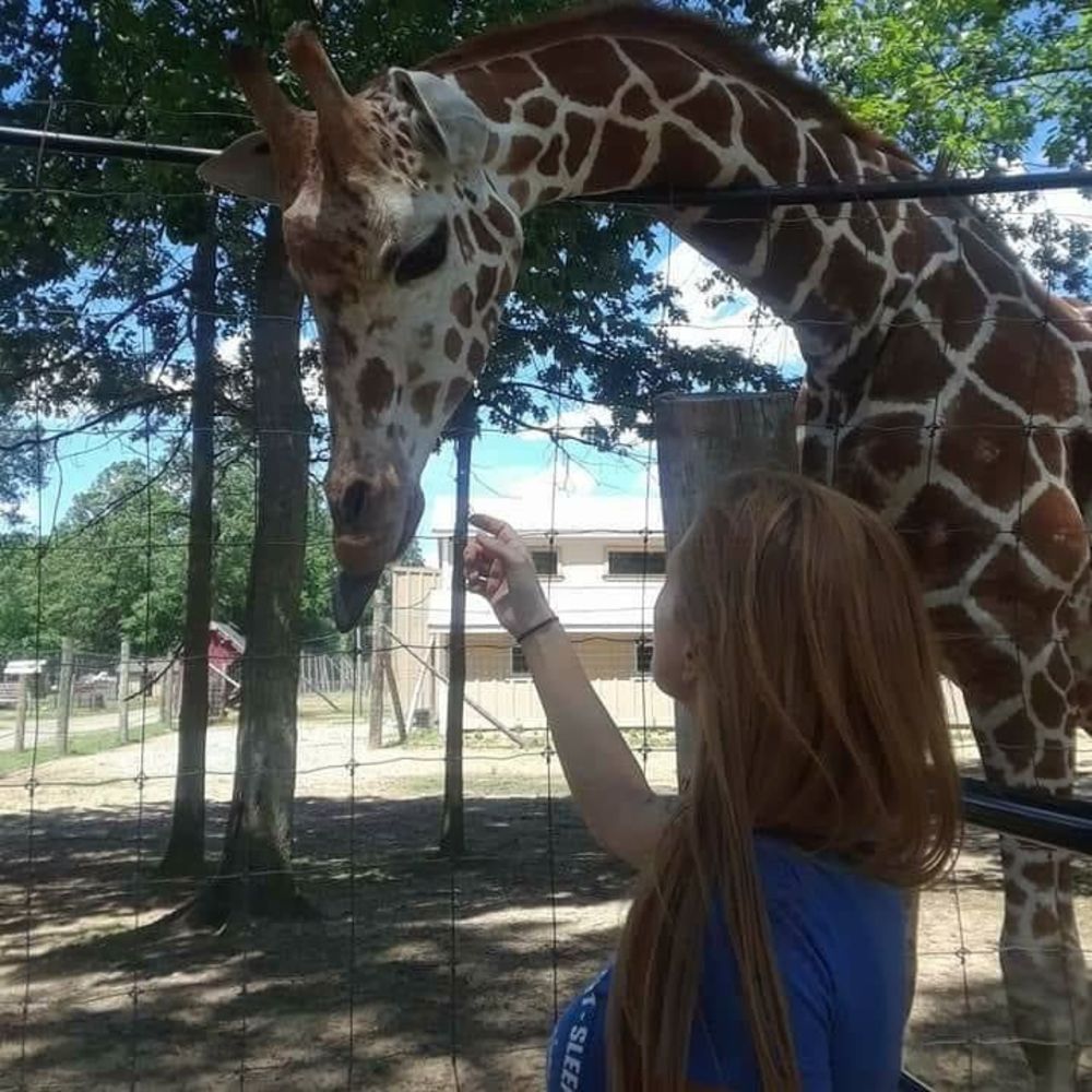 Meet your Posher, Krystal